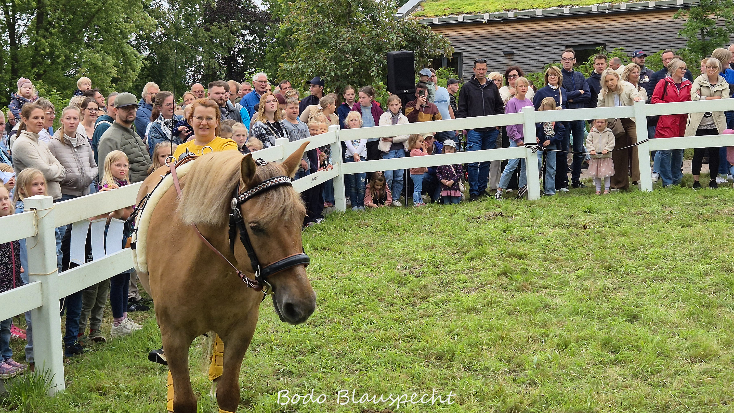 Konik   Samson  Steveraue 2026.06.07 15.42 03 WEB